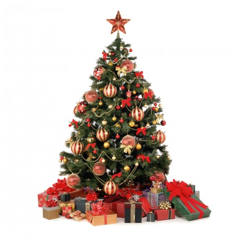 A Decorated Christmas Tree with Gifts Underneath