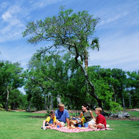 Couple and Their Children Having Picnic at Park