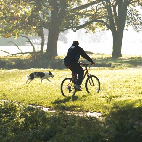 A Man Riding His Bike in a Field with His Dog