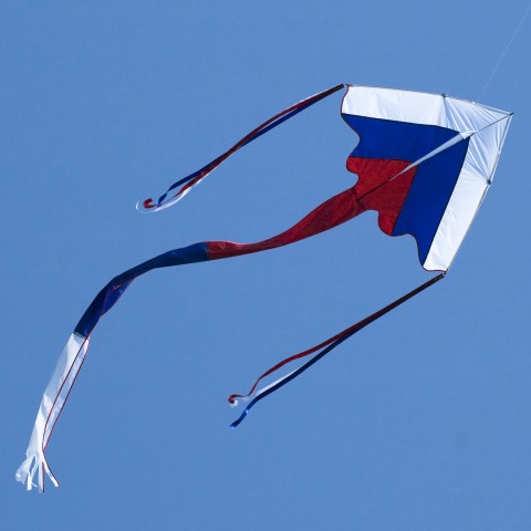 A Kite in the Air with Russian Flag Colors