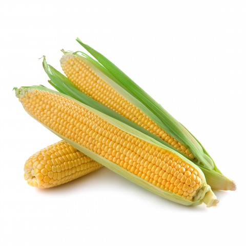 Corn on the Cob or Mielies
