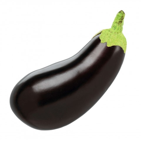 An Eggplant Against a White Background