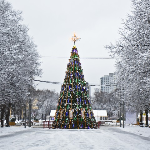 A Christmas/New Year Tree Set Up in Russia