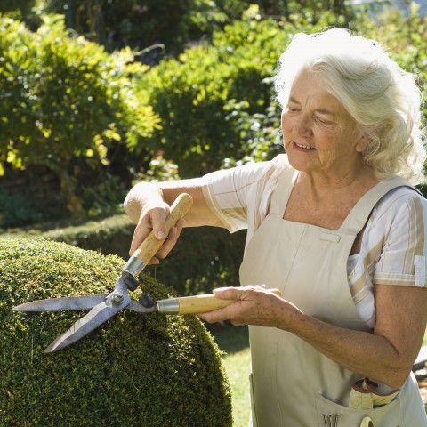 A Woman Gardening