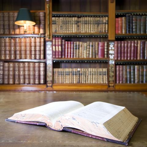 A Large Book in a Library