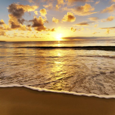 Beach, Shallow Water, Sunset