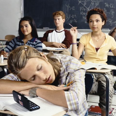 A Girl Sleeping on Class