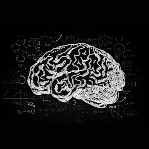 A White Sketch of a Brain Against a Black Background