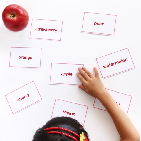 A Small Girl Using Flashcards for Learning the Names of Different Fruits