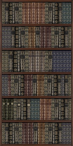 Some Bookshelves Loaded with Books, Symbolizing Academia