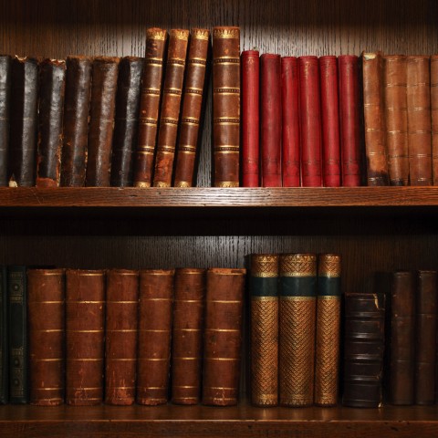 A Collection of Classic Literary Books