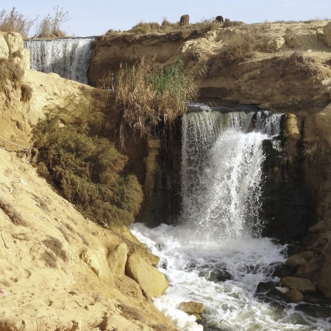 The Al Fayoum Desert Oasis in Egypt)