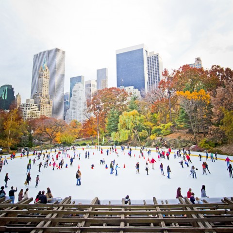 An Ice Rink in Central Park, New York City
