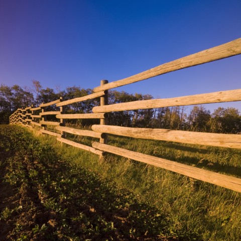 Fence in a Field with Green Grass on One Side