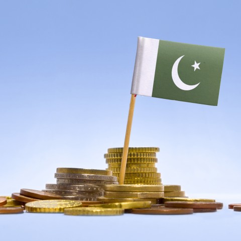 An Image of the Pakistani Flag and Coins, Signifying Business Prospects in Pakistan