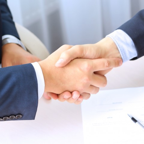 Close-up of a Handshake between Colleagues