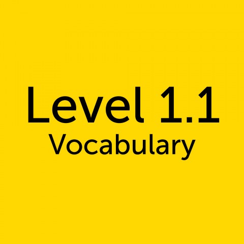 Level 1.1 Vocabulary