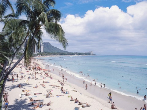 Many People Playing and Relaxing on a Beach in Hawaii