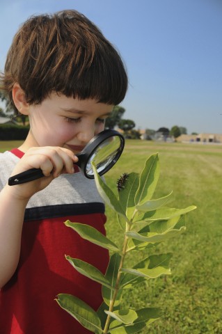 A Little Kid Looking at a Caterpillar on a Leaf through a Magnifying Glass