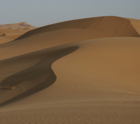 Desert Dunes