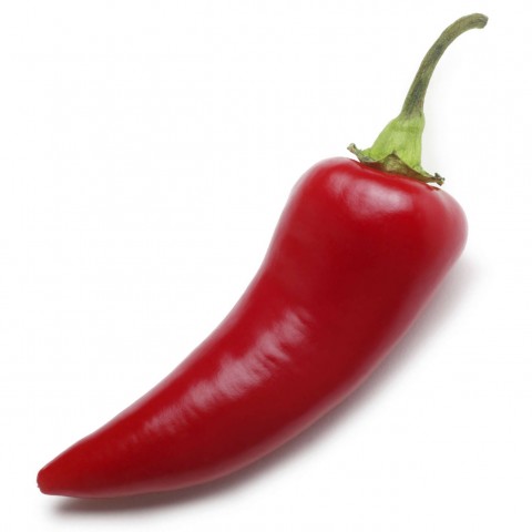 A Red Chili Pepper