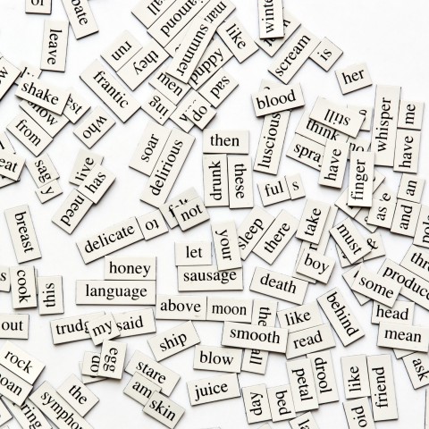 English Words Typed on Several Small Slips of Paper