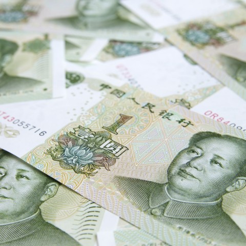 Chinese Money - 1 Yuan