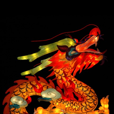 Dragon for Festival