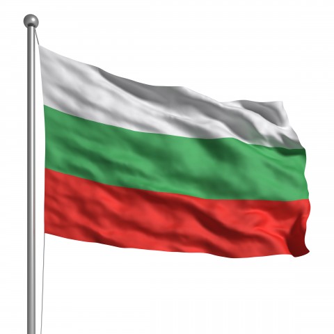 Bulgarian Flag