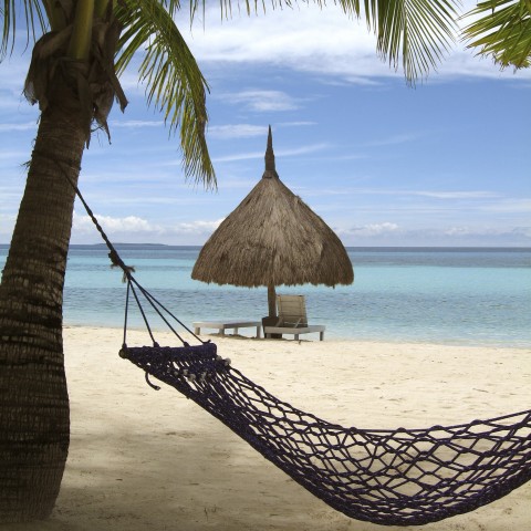 Hammock on a Beach