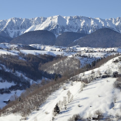 The Romanian Carpathians