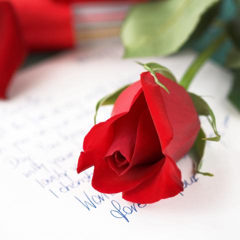 Love Letter and a Red Rose