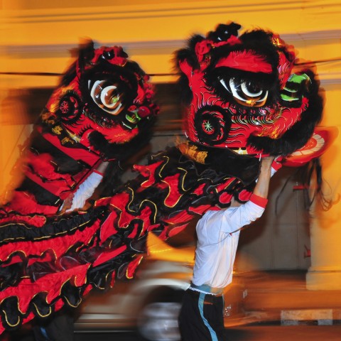 Lion Dancer