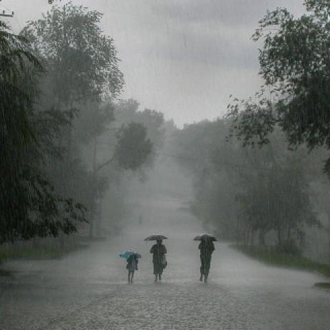 Three People Walking in the Rain with Umbrellas