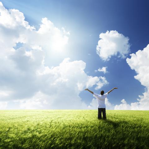 A Person Standing in an Open Field on a Sunny Day