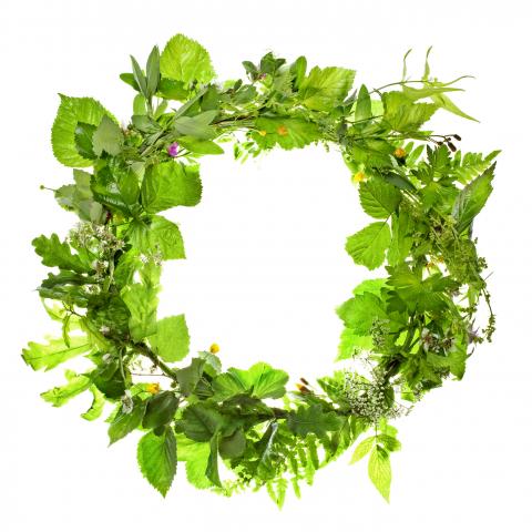 Wreath of Leaves