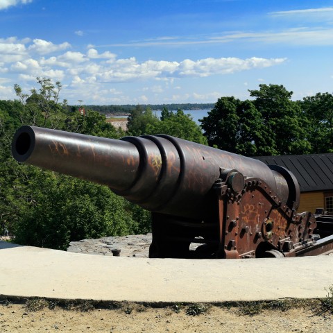 A Cannon