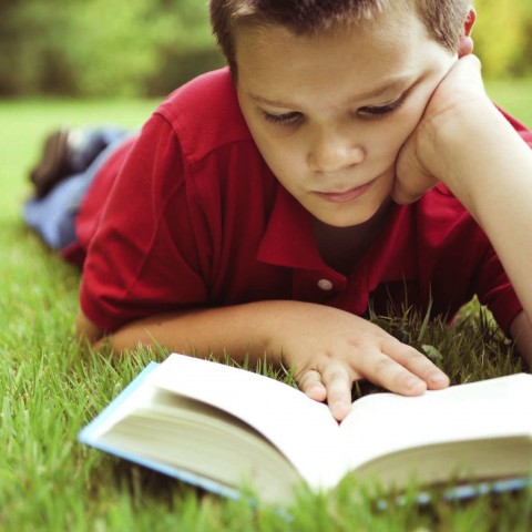 A Little Boy Reading a Book in the Grass