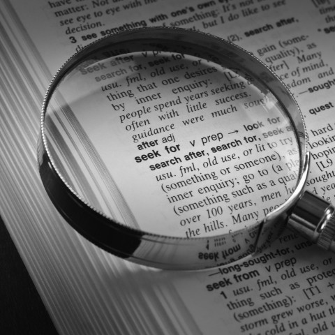 Dictionary and Magnifying Glass