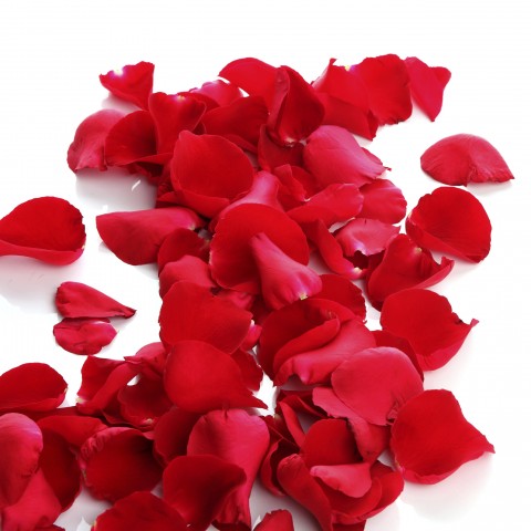 Rose Petals