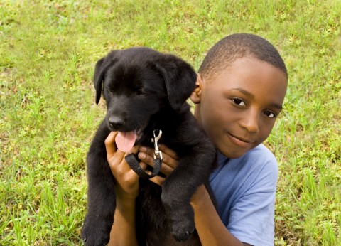 A Little Boy Holding His Dog