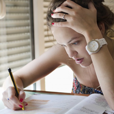 A Girl Studying for Her Exams