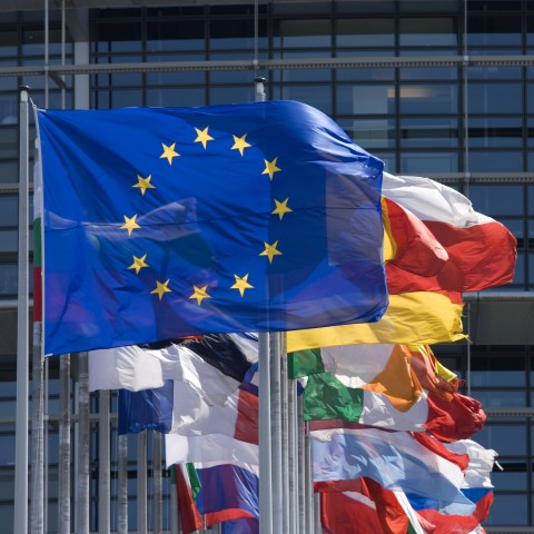 Flag of Europen Union