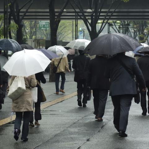 People Walking the Streets with Umbrellas