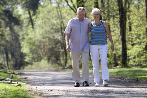 A Retired Couple Taking a Walk in the Park