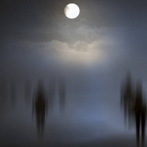 Souls Wandering in the Moonlight