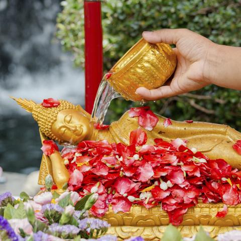 Learn about Thai Culture