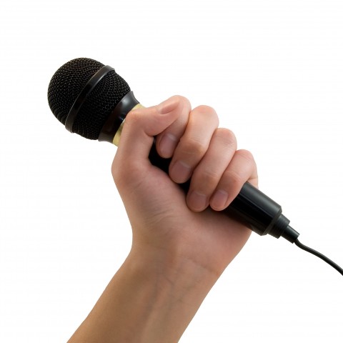 Someone Holding a Microphone