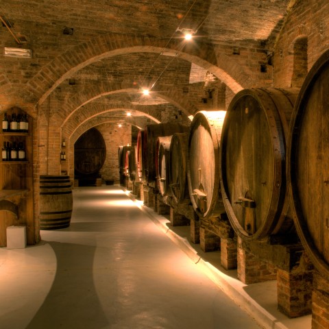 A Wine Cellar Is Seen, Wooden Casks In a Row