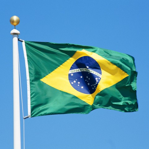 Brazilian Flag - A Dica do Dia, Free Portuguese Lessons - Rio & Learn